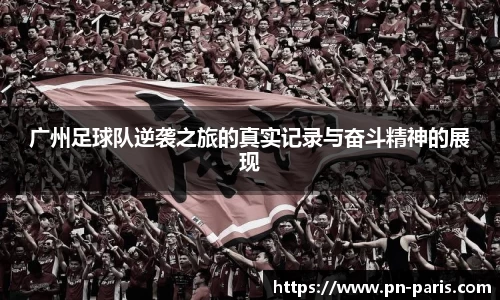 BoB半岛·体育中国官方网站